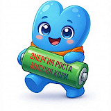 Заряд на учебный год