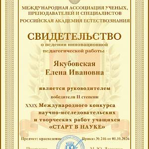 Дебют оказался успешным