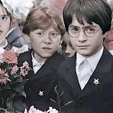 Образование - больше не услуга