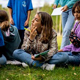 Школа не даёт практических навыков