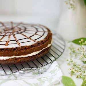 Лента Корифея