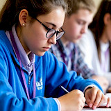 Первые "ласточки"