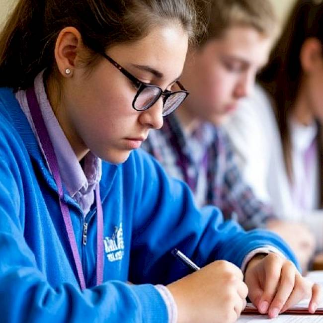 Первые "ласточки"