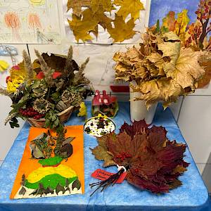 Осенние листья