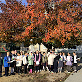 Осенние листья