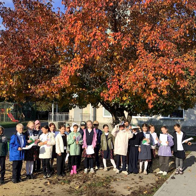 Осенние листья