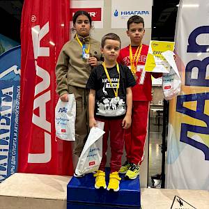 Семейство ниндзя