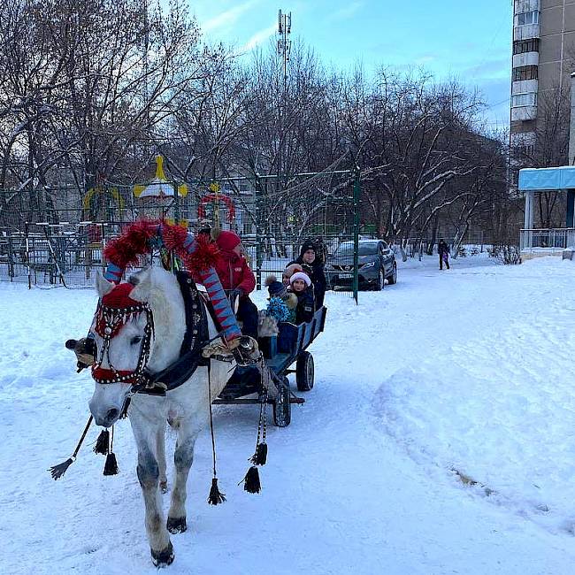 В новый год на лошади
