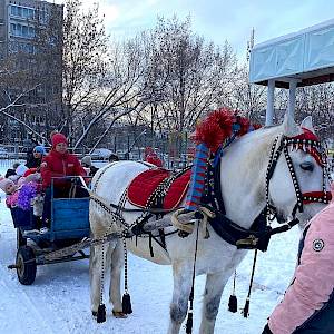 В новый год на лошади