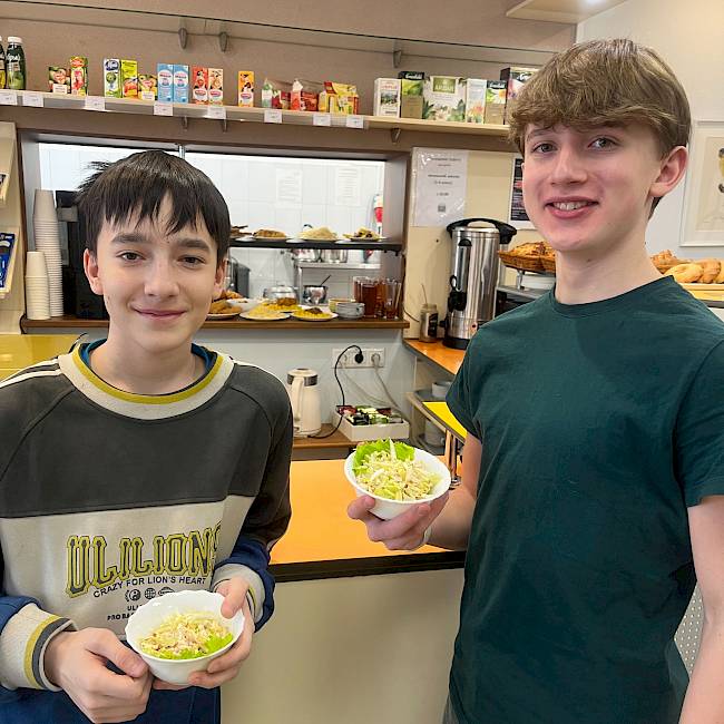 Весной весенние салаты