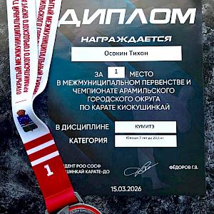 Ниндзя-челлендж