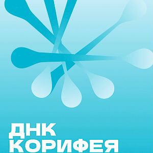 Гимназия 210