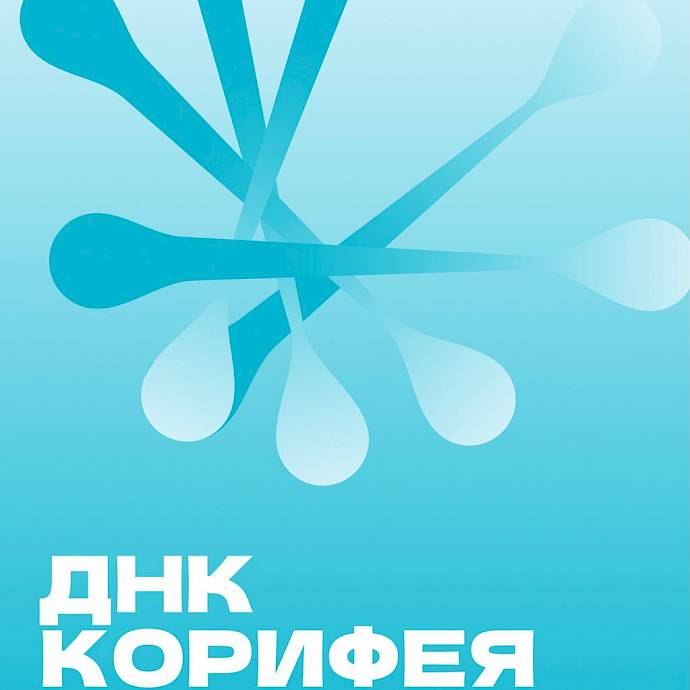 Гимназия 210